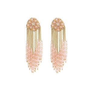 Oscar de la Renta chain and crystal earrings